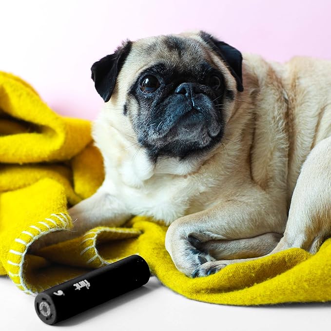 Flint Classic Black Retractable Mini Lint Roller with 90 Extra Sticky Sheets, Small and Portable Lint Roller, Ideal Pet Hair Remover, Travel Lint Rollers for pet Hair Extra Sticky