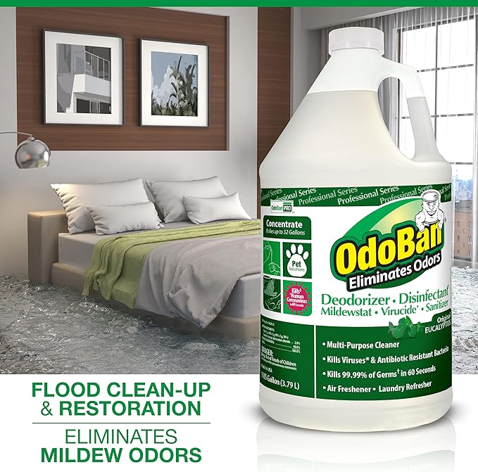 OdoBan Professional Disinfectant and Odor Eliminator Concentrate, 6-Pack, 1 Gallon Each, Original Eucalyptus Scent