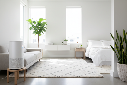 The Allergy Sufferer's Guide to a Cleaner, Healthier Home