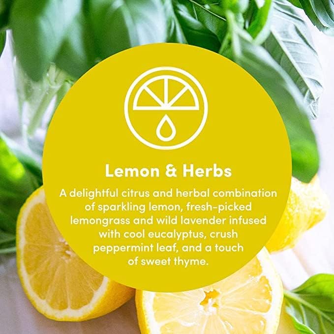 Clean Revolution Multi-Surface Cleaner Refill Supply | Non-Toxic, Eco-Friendly & Plant-Based | Ready To Use | Lemon & Herbs | 128 Fl Oz, 4 Pack, 512 Total Fl Oz