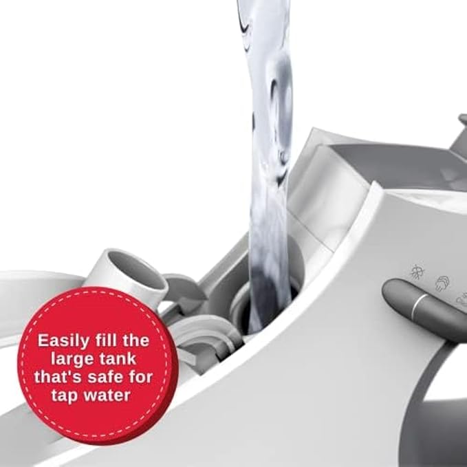 SINGER SteamCraft Steam Iron (1700W) | Steamer with Stainless Steel Plate, OnPoint Precision Tip for Hard-to-Reach Areas, Vertical Steam, Auto Shutoff & 300ml Tank Capacity – White