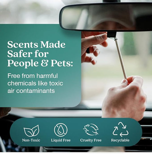 Enviroscent Non-Toxic Car Air Freshener (Seaside Coconut & Verbena) Natural Car Air Freshener | Essential Oil Diffuser | Car Scent Lasting Over 180 Days | 3 Packs of 2 Hanging Auto Stix