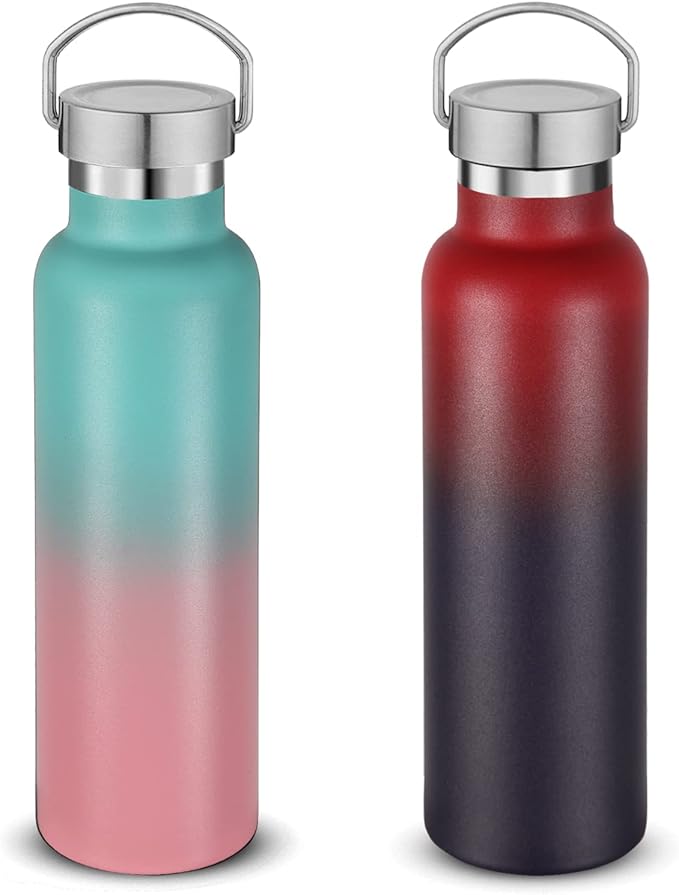 Neihepal 20 oz Insulated Water Bottles Bulk 2 Pack,Stainless Steel Double Wall Sport Bottle with Lid of Handle,Metal Reusable Thermoses Flask for School,Cyclists,Hikers,Gift (Assorted,Set of 2)