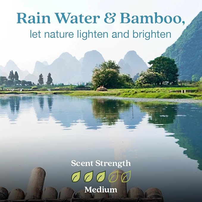 Enviroscent Non-Toxic Air Freshener for Home Essential Oil Diffuser | Fragrance Lasts Over 30 Days | Kit includes 1 Mango Wood Stand & 1 Scent Stix Refill (Rainwater & Bamboo)