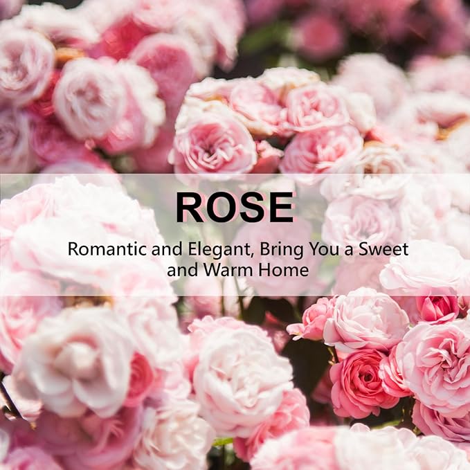 ROSE COTTAGE Large 12 Packs Rose Hanging Closet Deodorizer Air Freshener Long Lasting Scented Sachets Smell Goods for House