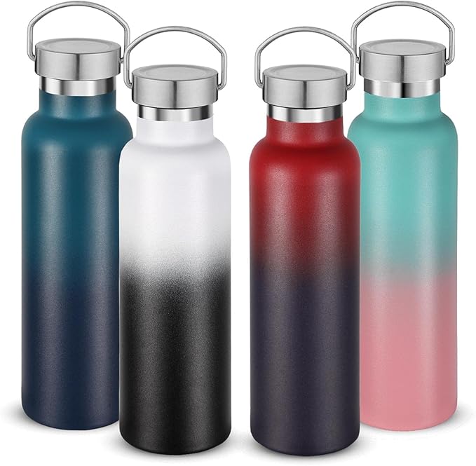 Neihepal 20 oz Insulated Water Bottles Bulk 4 Pack,Stainless Steel Double Wall Sport Bottle with Lid of Handle,Metal Reusable Thermoses Flask for School,Cyclists,Hikers,Gift (Assorted,Set of 4)