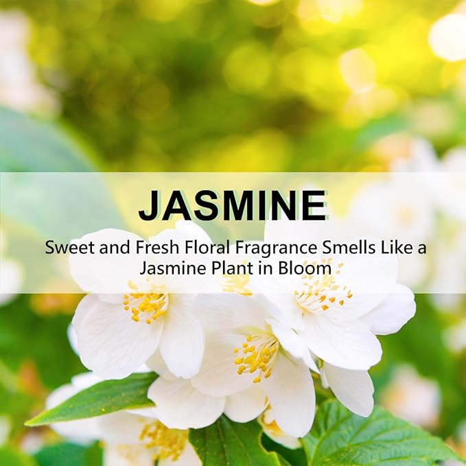 ROSE COTTAGE Large 12 Packs Jasmine Hanging Closet Deodorizer Air Freshener Long Lasting Scented Sachets Smell Goods for House