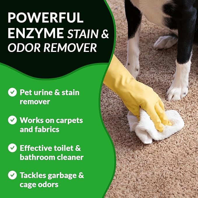 Strong Stain & Odor Eliminator - Cats & Dog Enzymatic Urine Destroyer -MADE IN USA- Fresh Scent Multi-Purpose Pet Stain Remover for Floors, Carpet, Bathrooms, Drains & Trash Deodorizer cleaner, 128oz