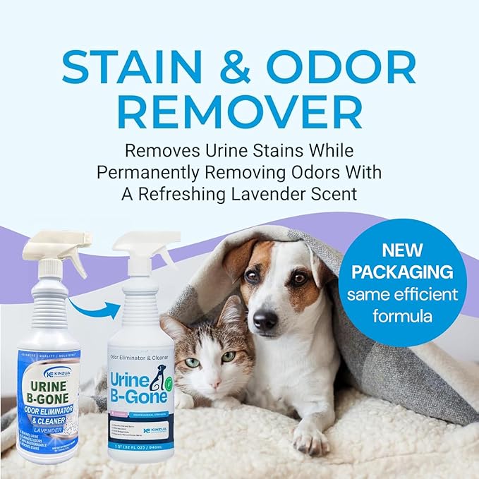 KINZUA ENVIRONMENTAL Urine B-Gone, Professional Enzyme Odor Eliminator & Pet Stain Remover, Human, Cat & Dog Urine Cleaner, Effective on Laundry, Carpets & More, Lavender Scent, 32oz, Pack of Two