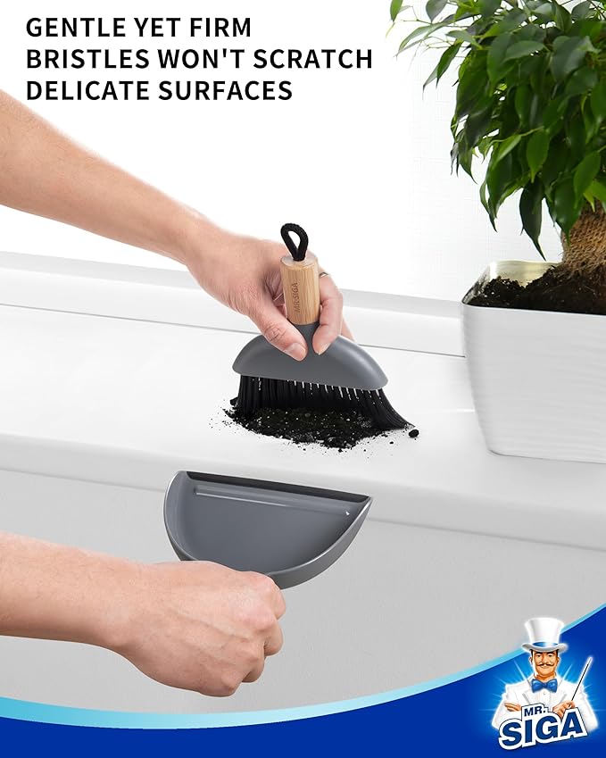 MR.SIGA Mini Dustpan and Brush Set, Portable Cleaning Brush and Dustpan Combo with Bamboo Handle, Gray, 1 Set