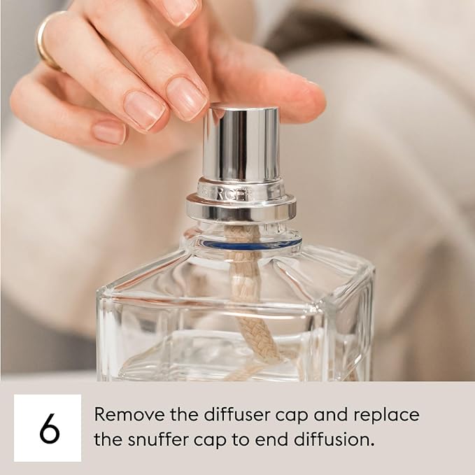 MAISON BERGER | Lampe Berger Refill Home Fragrance | Amber Powder | Home scents | 33.8 Fluid Ounce - 1L