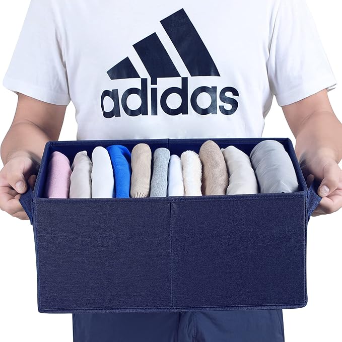 HOONEX Foldable Storage Bins with Lids, Pack of 2, Storage Boxes with 2 Carrying Handles and Heavy Cardboard, 16.5" L x 11.8" W x 7.5" H for Shoes, Clothes, Blue