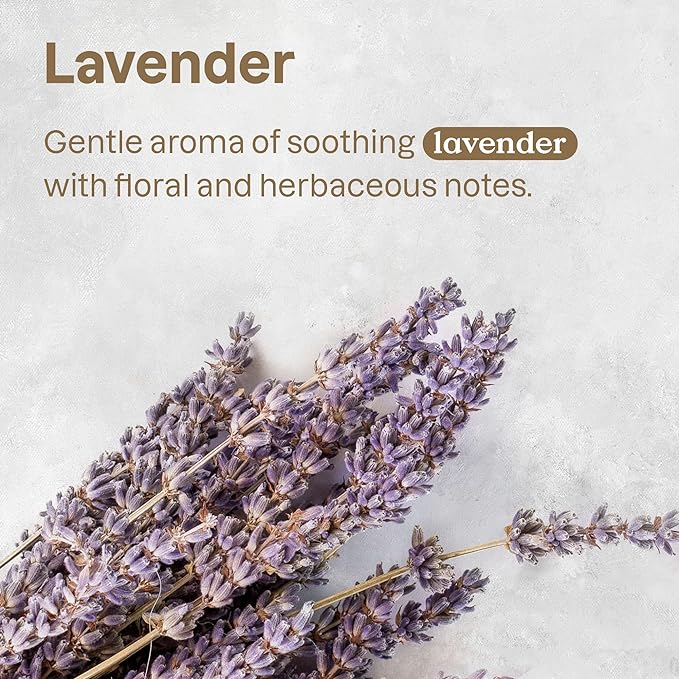 ATTITUDE Fabric Refresher for Pets, Neutralizes Odors, Plant and Mineral-Based Ingredients, Vegan and Cruelty-free, Bulk Refill, Lavender, 67.62 Fl Oz