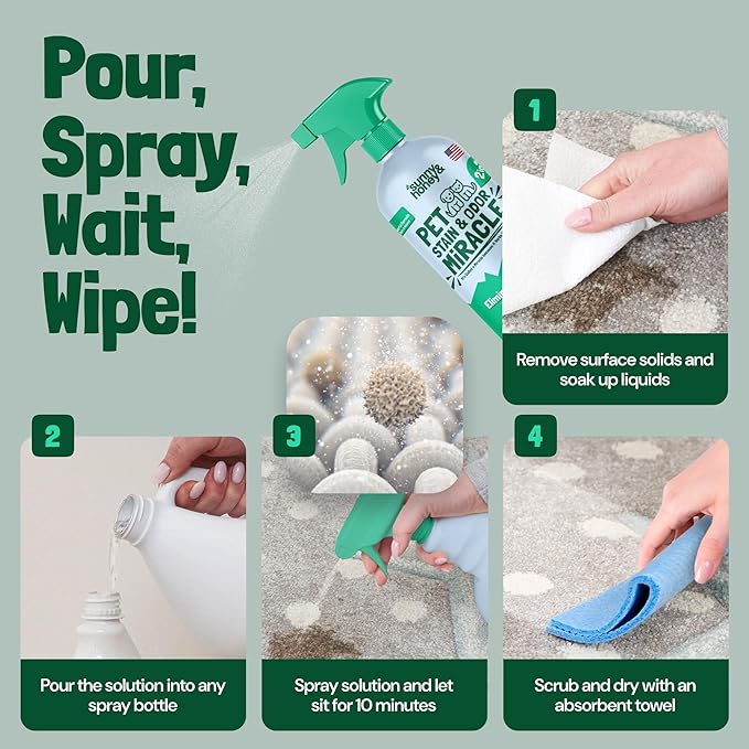 Sunny & Honey Pet Stain & Odor Miracle - 1 Gallon (128 Fl Oz), Spring Mint Scent - Carpet Shampoo, Cat Pee Enzyme Cleaner & Carpet Spot Remover for Upholstery & Mattress