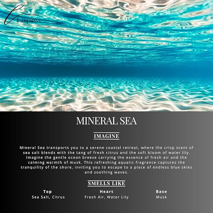 Mineral Sea Carpet Freshener Powder Refill 36 oz | Powerful Odor Eliminator for Home | Upholstery Deodorizer | Carpet Deodorizer | Pet Urine | Cat Litter Box | Vitamin Sea Fragrance