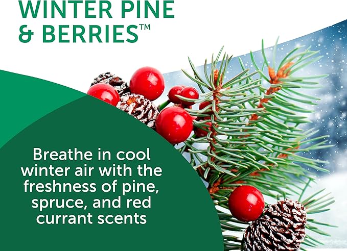 Bright Air 14 oz. Super Odor Eliminator, For Medium-Size Spaces, Winter Pine & Berries Scent, Case of 6, Odor Eliminator & Air Freshener, Natural Essential Oils, Lasts Up to 90 Days Each