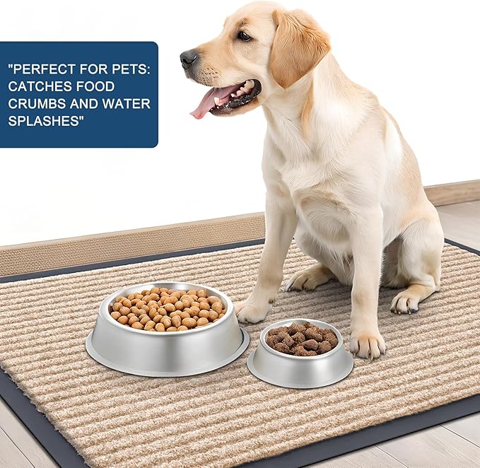 OLANLY Front Door Mat Indoor Outdoor Entrance, Waterproof Heavy Duty Doormat, Fade Resistant, Low Profile, Easy Clean Patio Porch Welcome Floor Mats for Entry, 47x32, Beige