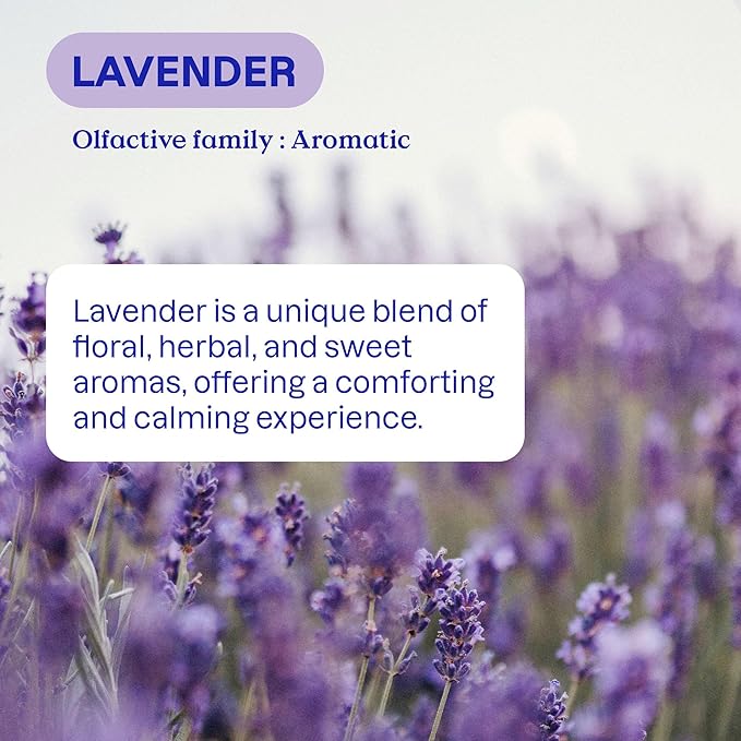 ATTITUDE Liquid Fabric Softener, Plant-Based & Vegan, HE Compatible, Naturally Derived, Lavender Scent, 80 Loads, 67.6 Fl Oz