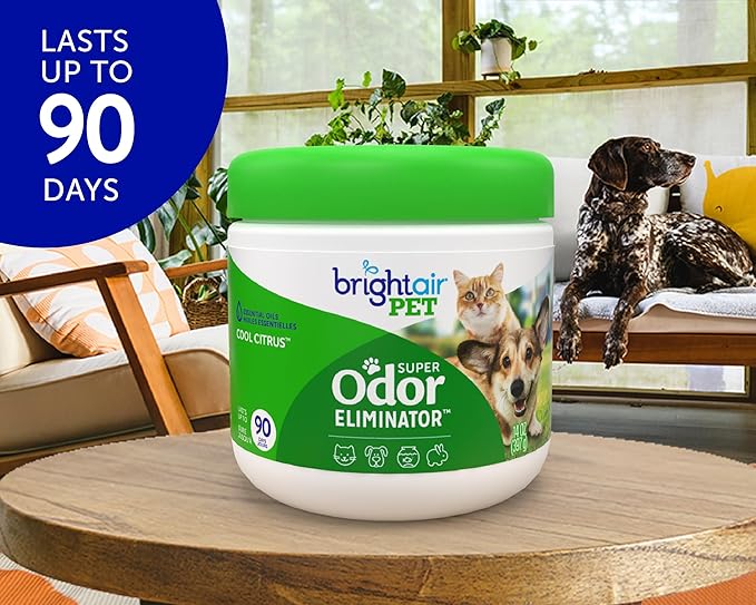 Bright Air 14 oz. Super Odor Eliminator, for Medium-Size Spaces, Cool Citrus Scent, Case of 6, Air Freshener, Natural Essential Oils, Lasts Up to 90 Days Each