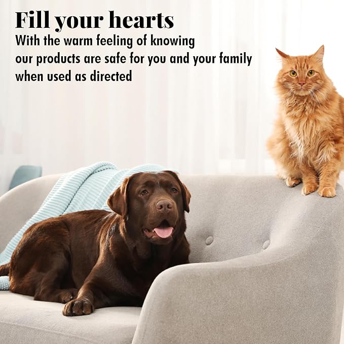 Citrus Magic Pet Solid Air Freshener, Pet Odor Eliminator for Home, Odor Absorber for Dog & Cat Areas and Litter Boxes, Fresh Citrus, 20 Ounces, 2-Pack