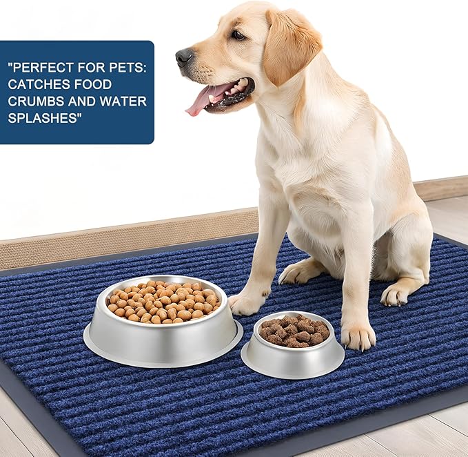 OLANLY Front Door Mat Indoor Outdoor Entrance, Waterproof Heavy Duty Doormat, Fade Resistant, Low Profile, Easy Clean Patio Porch Welcome Floor Mats for Entry, 47x32, Blue
