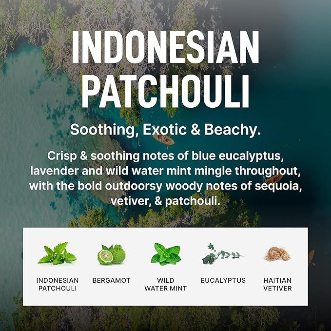 Laundry Sauce Fabric Refresher Spray Indonesian Patchouli, Odor-Fighting Fabric Refresher, Fragrance and Laundry Scent, 9.8 fl oz
