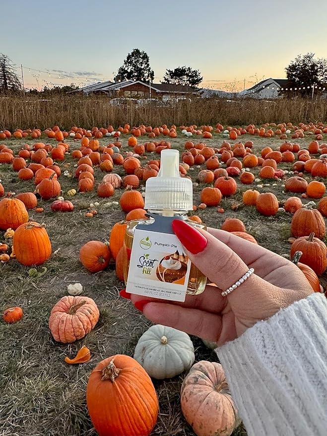 Scent Fill Pumpkin Pie Plug in Air Freshener, 4 Scented Oil Refills