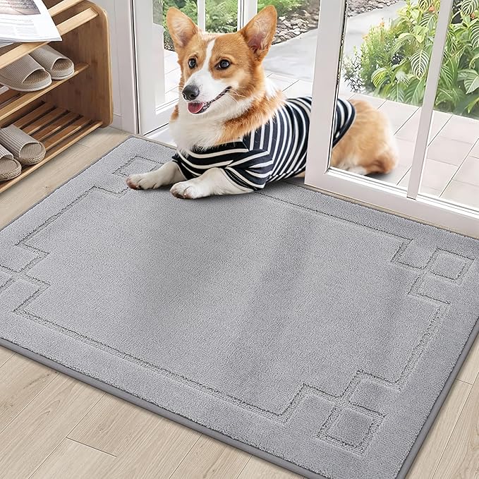 BEQHAUSE Door Mat 24" x 36", Non-Slip Door Mats Indoor Entryway Rugs Washable Low-Profile Absorbent and Stain Resist Floor Mats, Dog Door Mat for Front Back Door, Muddy Wet Shoes & Paws, Light Grey
