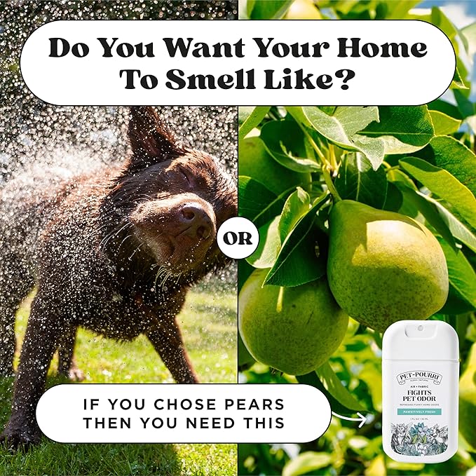 Poo-Pourri Pawsitively Fresh Pocket Deodorizer Spray – Dog & Cat Odor Remover – Plant Based Ingredients – Vet Recommended – Great for Air, Carpet, Fabric, Litter Box, Urine & Strong Pet Odors